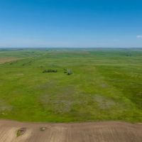 Dodge ND 160 acres images 5
