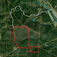 43 Acres - Hunting Recreational Track Near RJR Reynolds 10 000 Acres