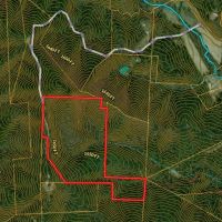 43 Acres - Hunting Recreational Track Near RJR Reynolds 10 000 Acres images 2