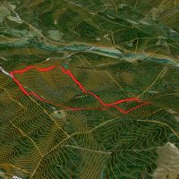 43 Acres - Hunting Recreational Track Near RJR Reynolds 10 000 Acres images 4