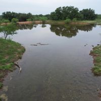 New Listing 120.5 - Acres Brown County images 3
