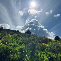 East Dempsey Creek Hideaway images 2
