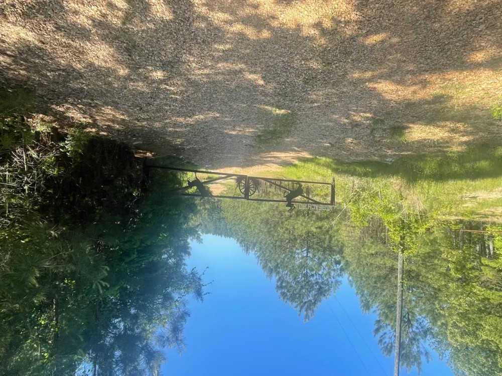 MS - Adams Franklin County 402 acres - featured image