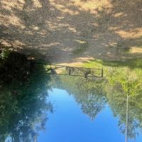 MS - Adams Franklin County 402 acres - images 1