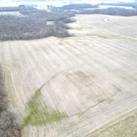 Rare income producing tillable piece in Clinton Co images 3