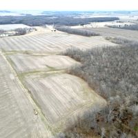 Rare income producing tillable piece in Clinton Co images 5
