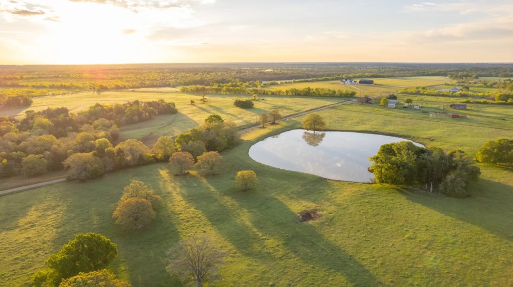 Big C Ranch featured image