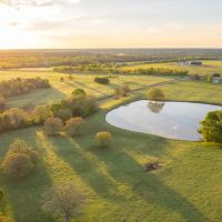 Big C Ranch