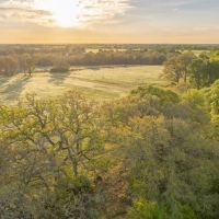Big C Ranch images 3