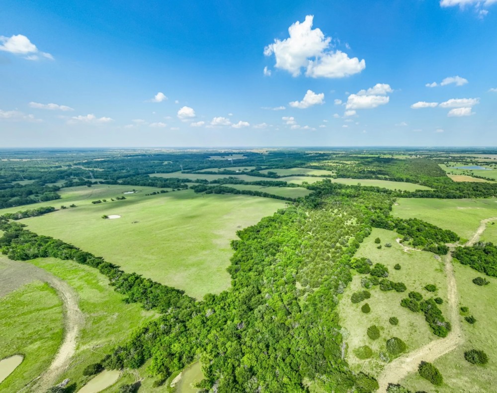 Ranch Recreational Development Land For Sale NE TX featured image