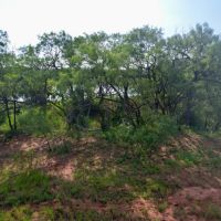 New Listing 14.87 - Acres Home Taylor County images 3