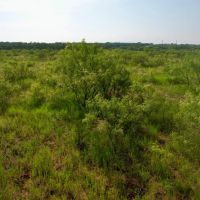 New Listing 14.87 - Acres Home Taylor County images 5
