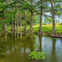 Kerr County Cypress Creek Ranch NW of Comfort images 3