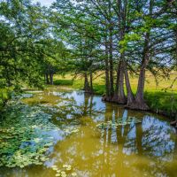 Kerr County Cypress Creek Ranch NW of Comfort images 4