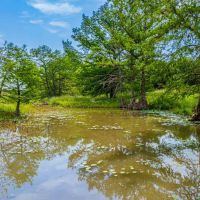 Kerr County Cypress Creek Ranch NW of Comfort images 5
