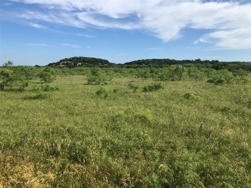 TBD HWY 101 Ranger Texas 76470 featured image