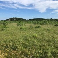 TBD HWY 101 Ranger Texas 76470