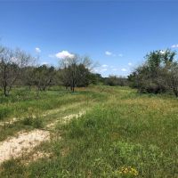 TBD HWY 101 Ranger Texas 76470 images 5
