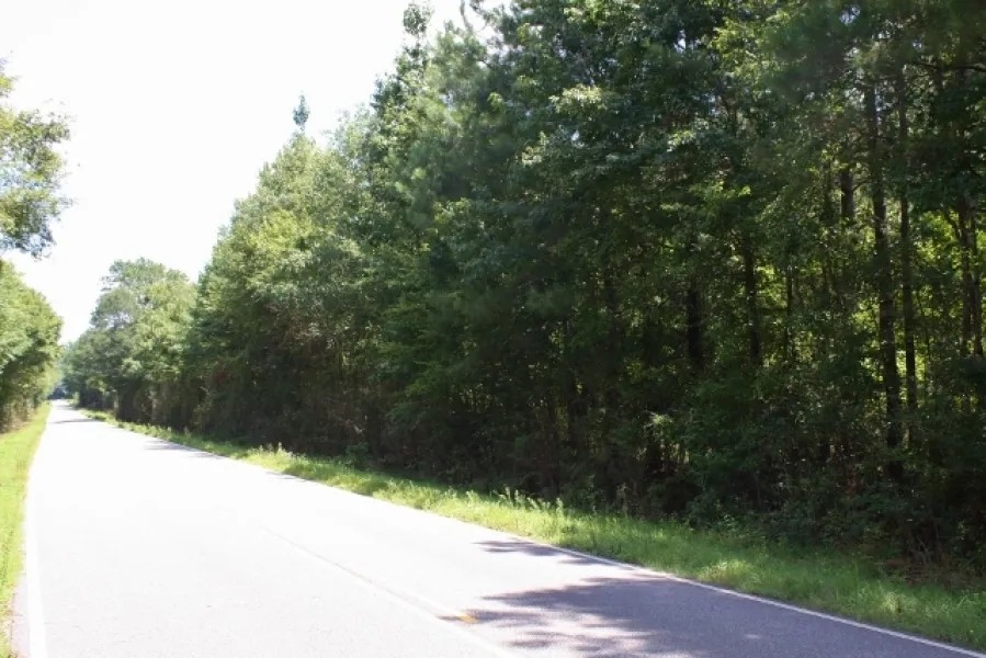 Snake Branch Road Tract featured image