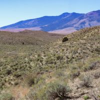 Rose Creek West images 3
