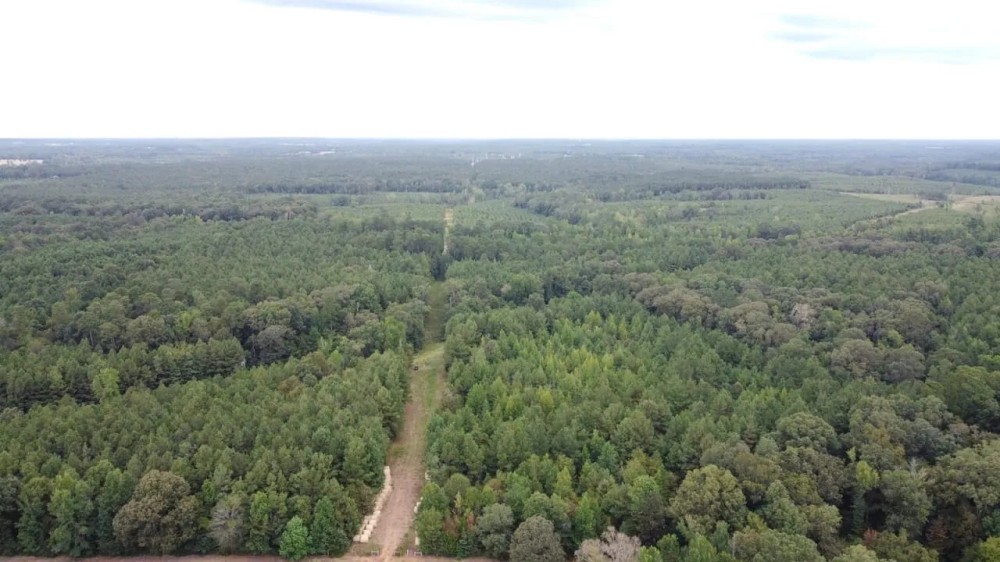 700 Acres Land for Sale Lincoln Parish LA featured image