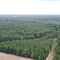 700 Acres Land for Sale Lincoln Parish LA images 2