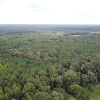 700 Acres Land for Sale Lincoln Parish LA images 3