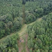 700 Acres Land for Sale Lincoln Parish LA images 4