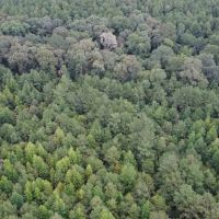 700 Acres Land for Sale Lincoln Parish LA images 5