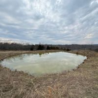 Southern MO Tract With Potential Build Sites Homestead Hobby Farm And Great Hunting images 2
