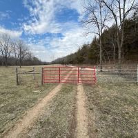 Southern MO Tract With Potential Build Sites Homestead Hobby Farm And Great Hunting images 3