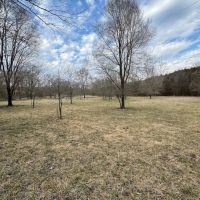 Southern MO Tract With Potential Build Sites Homestead Hobby Farm And Great Hunting images 4