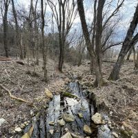 Southern MO Tract With Potential Build Sites Homestead Hobby Farm And Great Hunting images 5