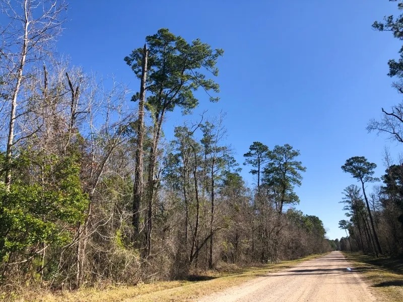 112 Acres Palmer Rd. featured image