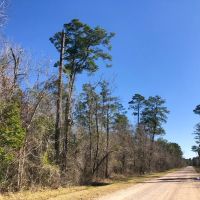 112 Acres Palmer Rd.