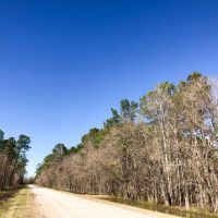 112 Acres Palmer Rd. images 2