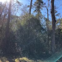112 Acres Palmer Rd. images 3