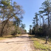 112 Acres Palmer Rd. images 4