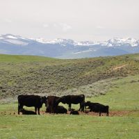MCGUIRE SPRING CREEK RANCH images 5