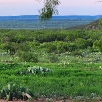 West Texas High Fenced Exotic Ranch in Coke County