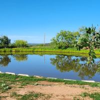West Texas High Fenced Exotic Ranch in Coke County images 2