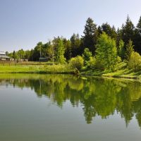 Elk Range Ranch images 4