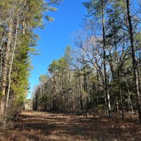 11.6 Acres in Choctaw County MS