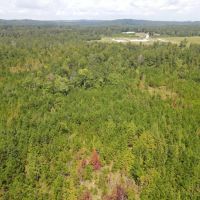 42 - acres on Hwy 77 images 2