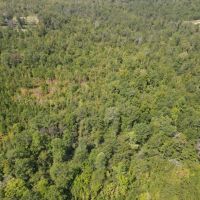42 - acres on Hwy 77 images 4