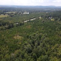 42 - acres on Hwy 77 images 5