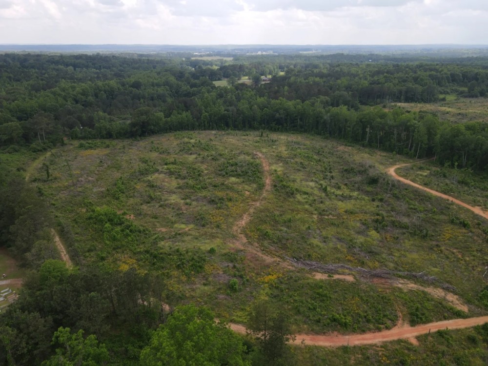 SOLD 57 - acres in Lineville AL featured image