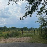 SOLD 57 - acres in Lineville AL images 3