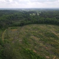 SOLD 57 - acres in Lineville AL images 5
