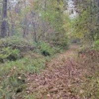 55 Acres in Adams County in Natchez MS images 3